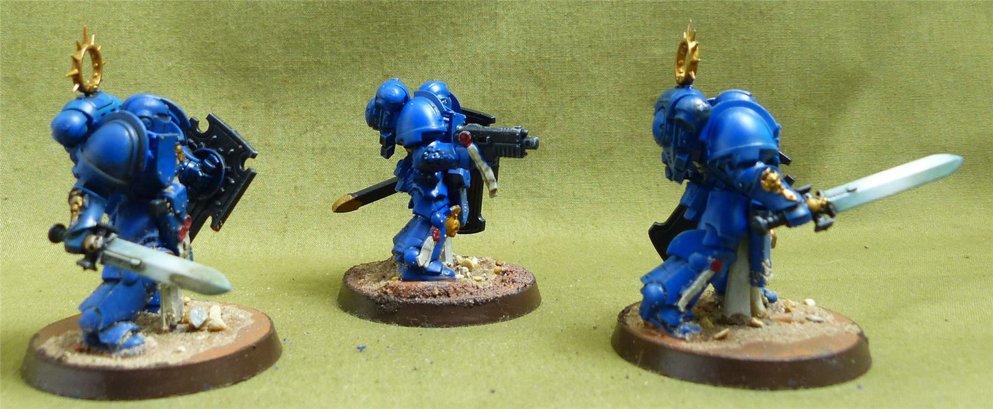 Bladeguard Veteran Squad painted - Space Marines - Warhammer 40K #6TS