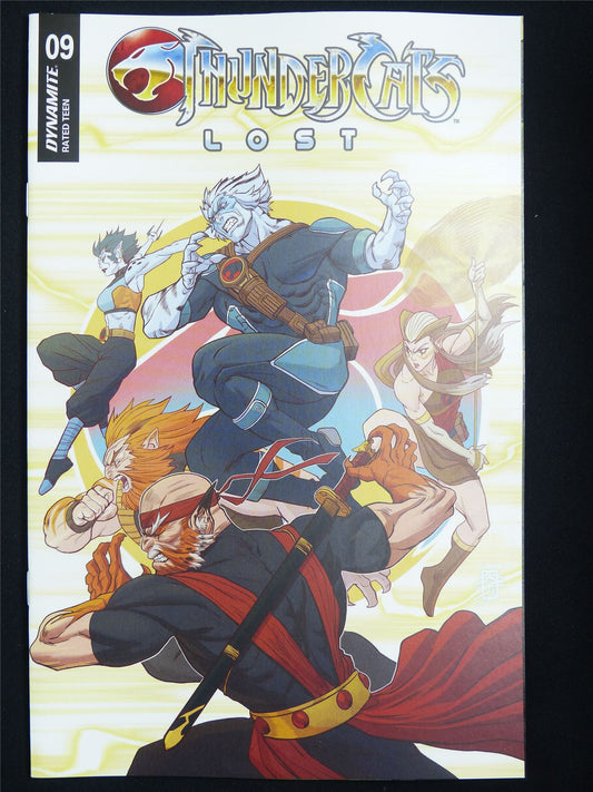 THUNDERCATS: Lost #9 Cvr B - Dec 2025 Dynamite Comic #6VY