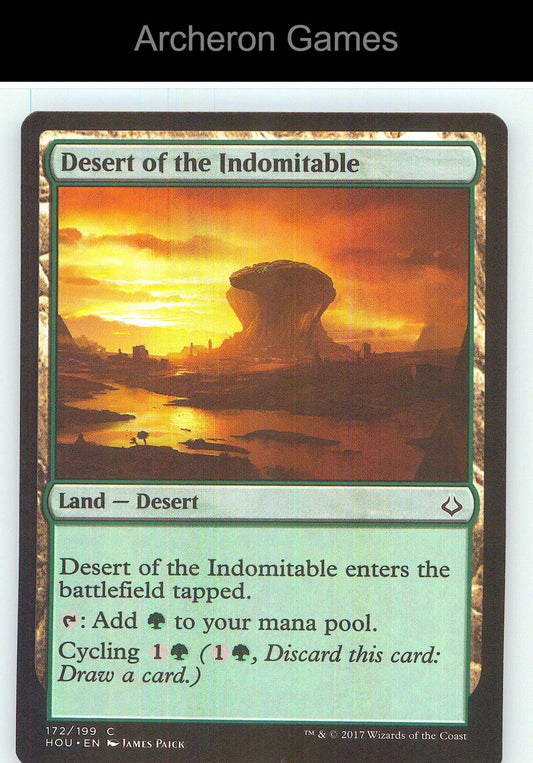 Desert of the Indomitable HOU 172 C MTG Card NM/EX+