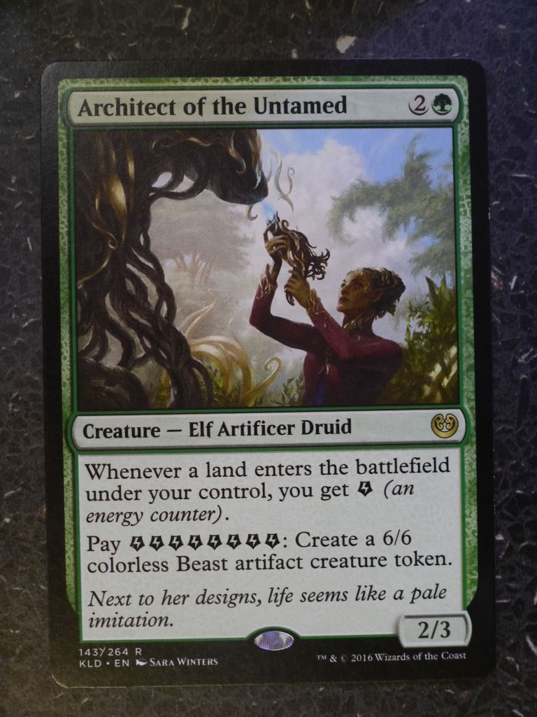 MTG Magic Cards: ARCHITECT OF THE UNTAMED RARE # 6I2