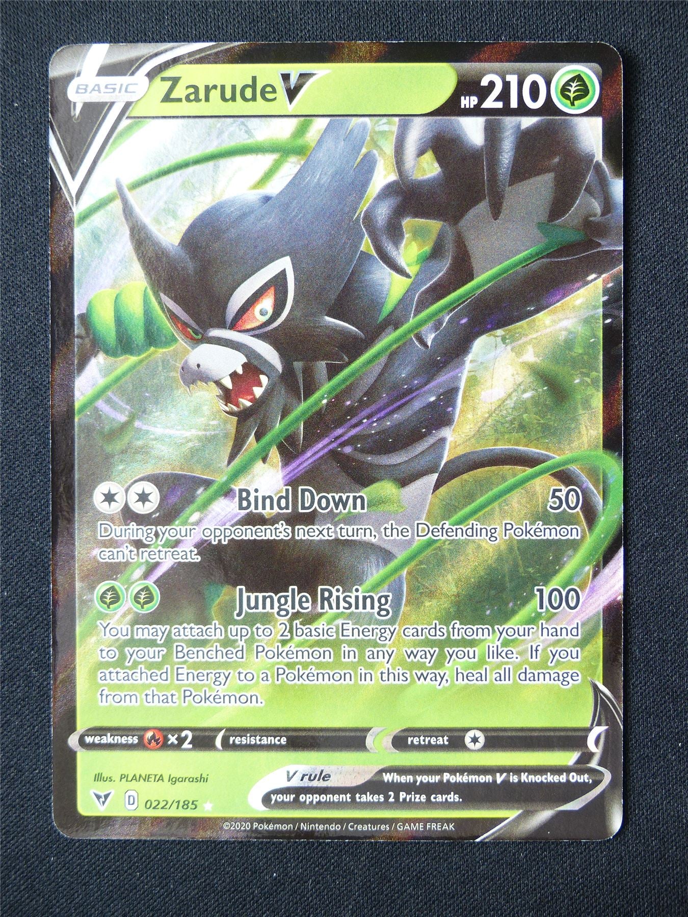 Zarude V 022/185 Holo - Pokemon Card #70O