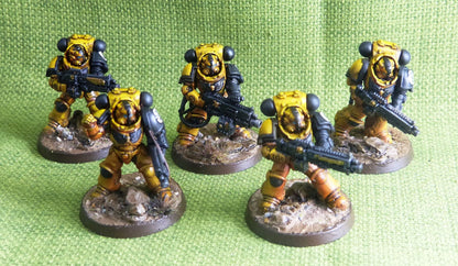 Imperial Fist - Heavy Intercessor Squad Painted - Warhammer AoS 40k #CS
