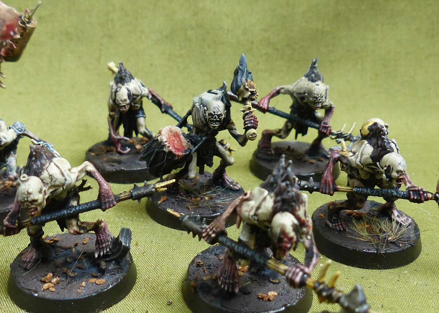 Cryptguard painted - Flesh-Eater Court - Warhammer AoS #5CJ