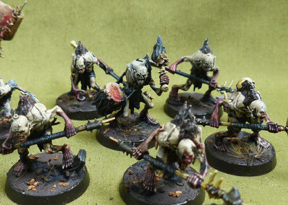 Cryptguard painted - Flesh-Eater Court - Warhammer AoS #5CJ