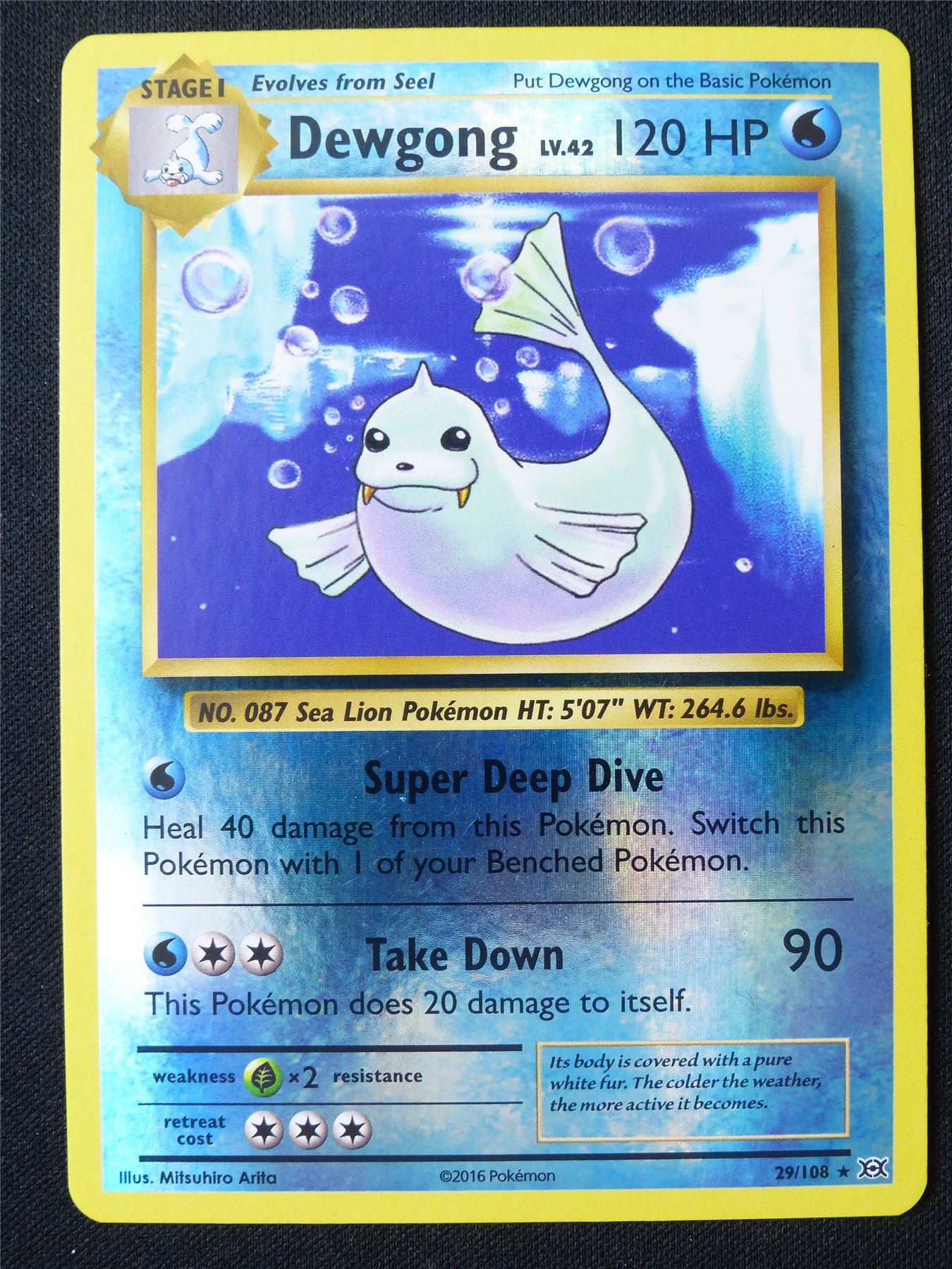 Dewgong 29/108 Reverse Holo - Pokemon Card #1FJ