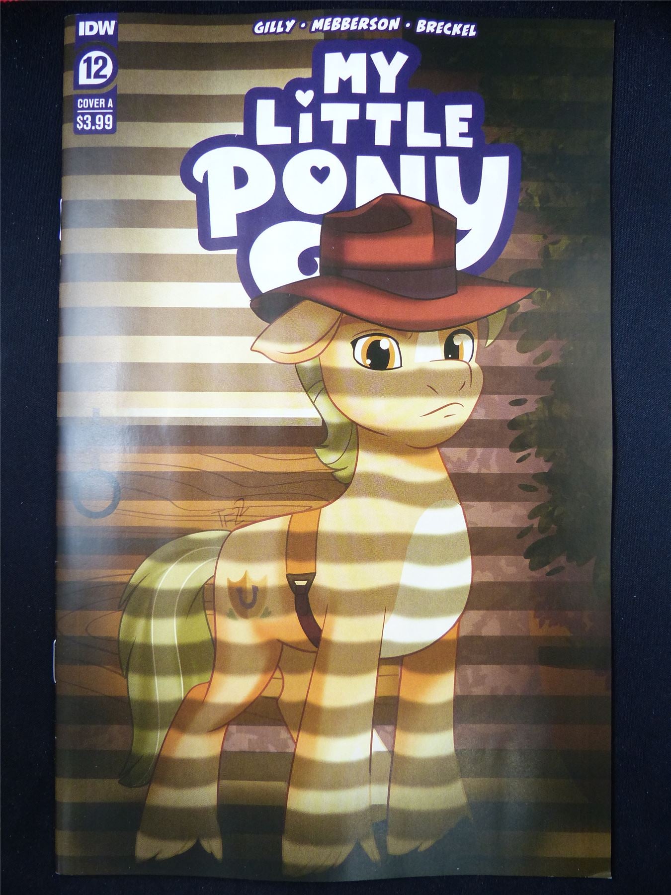 MY Little Pony #12 - May 2023 IDW Comic #2FJ