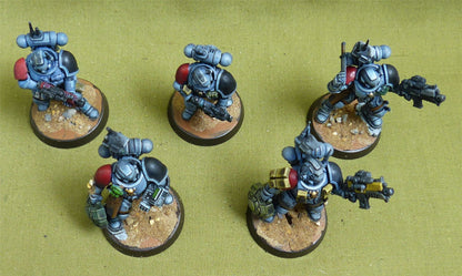 Intercessor Squad set of 5 painted - Space Wolves - Warhammer 40K #5C2