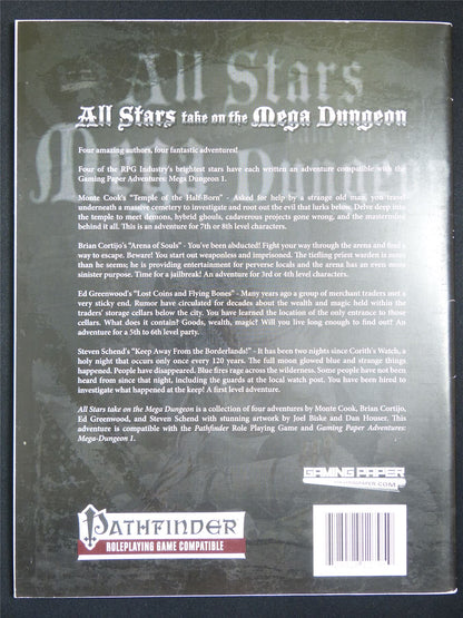 All Stars take on the Mega Dungeon Campaign Booklet: Pathfinder Compatible Roleplay #6N4