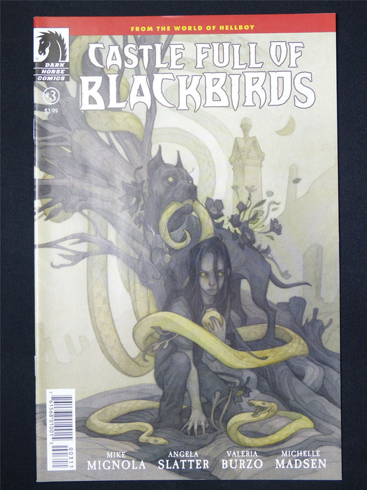 CASTLE Full of Blackbirds #3 - Dark Horse Comic #2RV