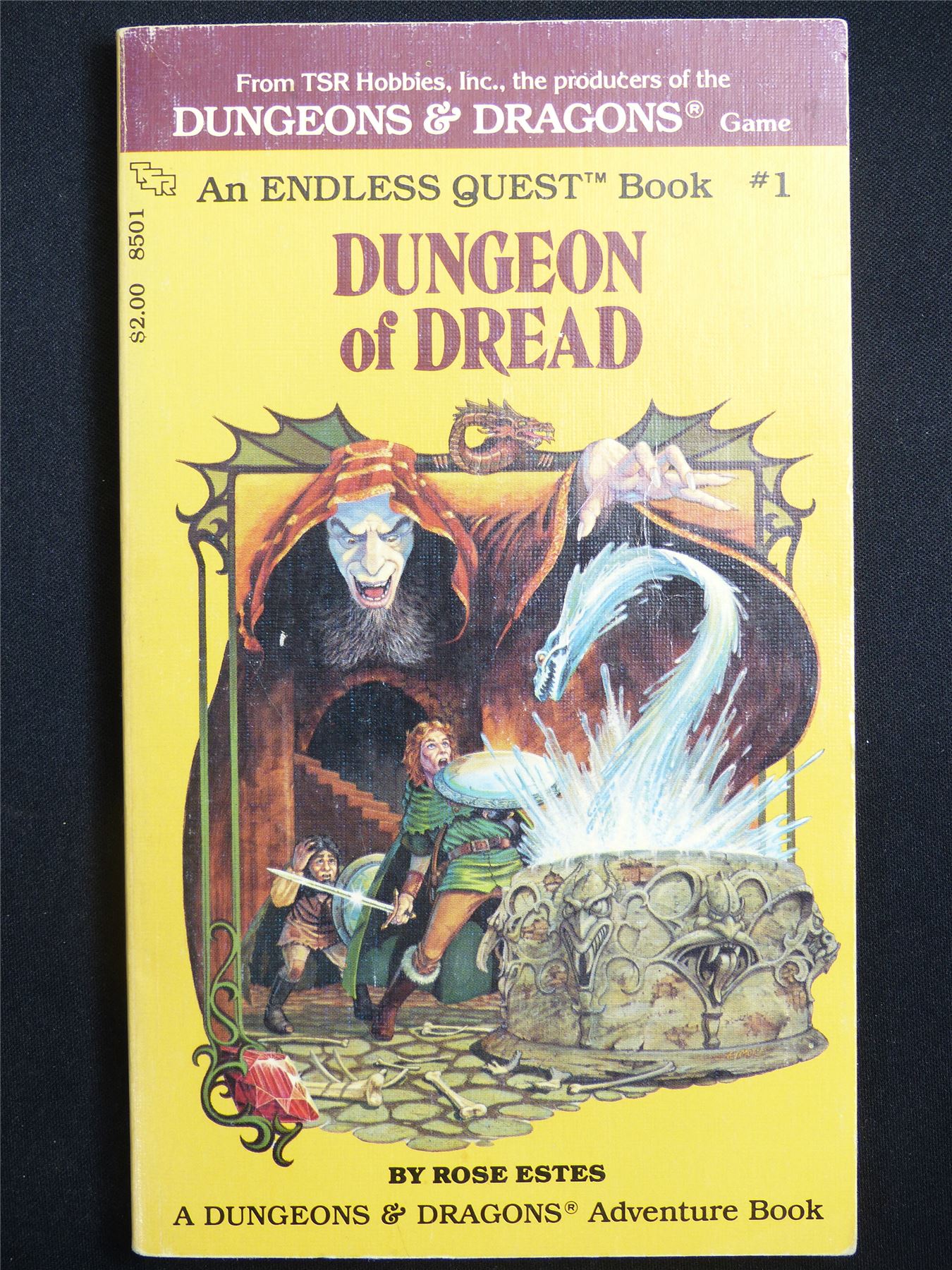 D&D Adventure Book: Dungeon of Dread Endless Quest - Vintage Novel Softback #M1