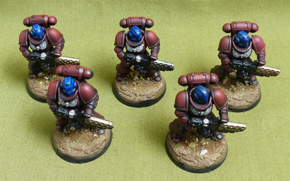 Infernus Squad set of 5 painted - Blood Angels - Warhammer 40K #3Z1