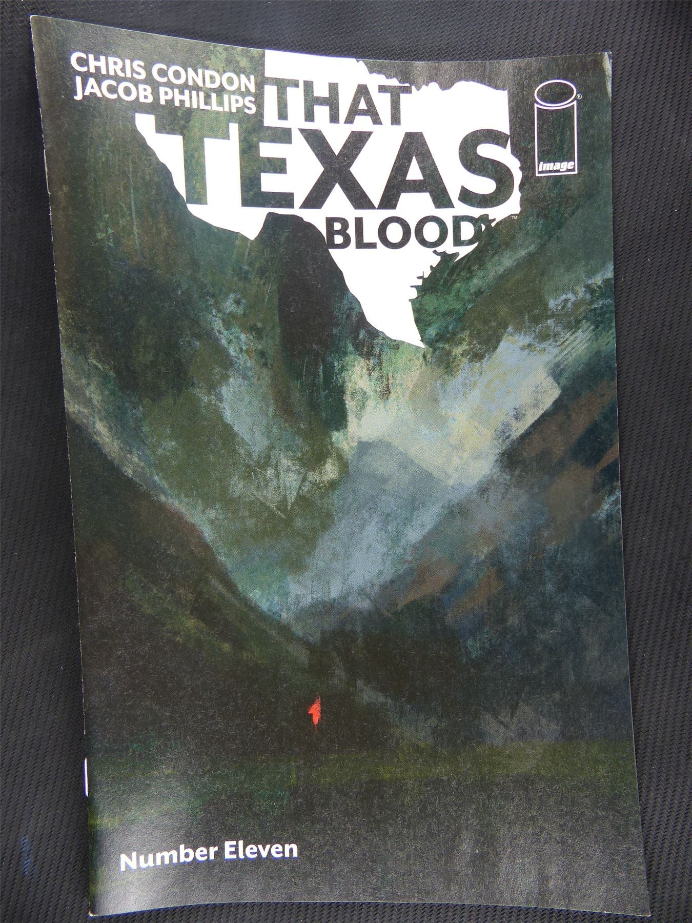 THAT Texas Blood #11 - Image Comic #2A