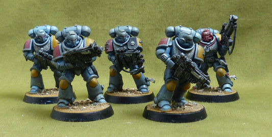 Primaris Intercessors painted - Space Wolves - Warhammer 40K #5AG