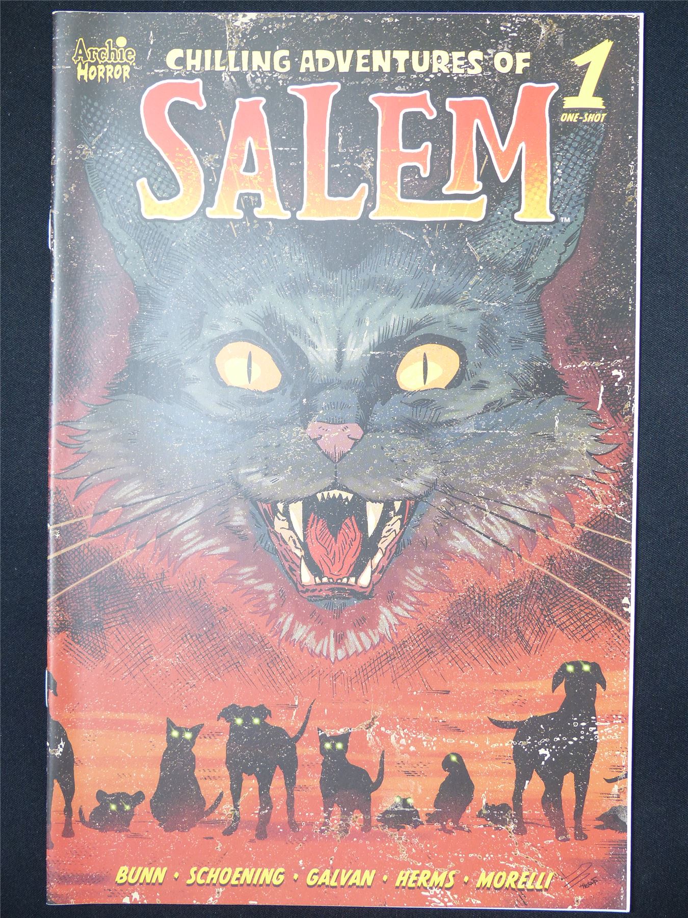 Chilling Adventures of SALEM #1 - Archie Comic #5MD