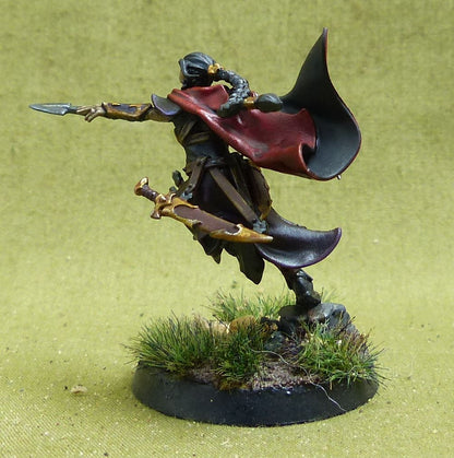 Maleneth Witchblade painted - Daughters of Khaine - Warhammer AoS #KO