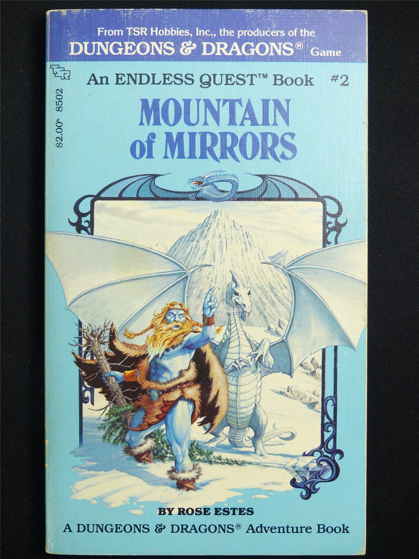 D&D Adventure Book: Mountain of Mirrors Endless Quest - Vintage Novel Softback #LZ