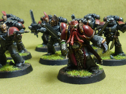 MKII Tactical Squad set of 10 painted - Space Wolves - Warhammer Horus Heresy #4XI