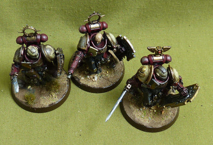 Bladeguard Veterans painted - Space Marines - Warhammer 40K #1BF