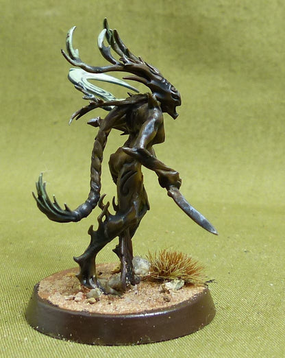 Branchwych painted - Sylvaneth - Warhammer AoS #5Z8
