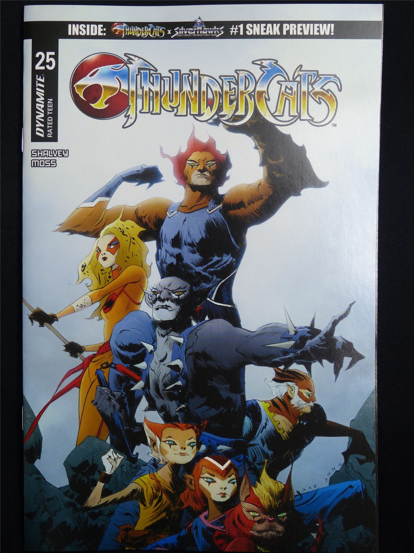 THUNDERCATS #25 Cvr C - Mar 2026 Dynamite Comic #41E