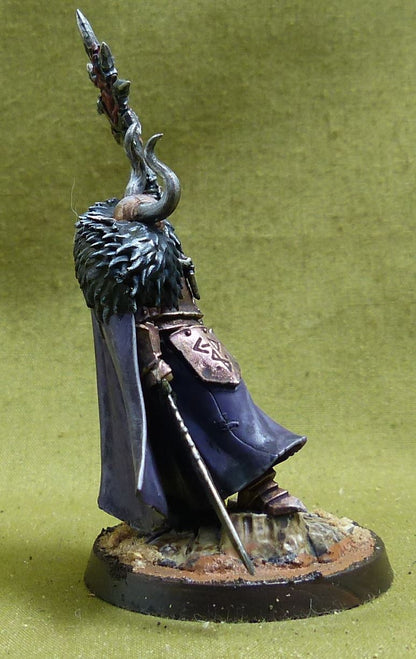 Chaos Sorcerer Lord painted - Slaves to Darkness - Warhammer AoS #5CR