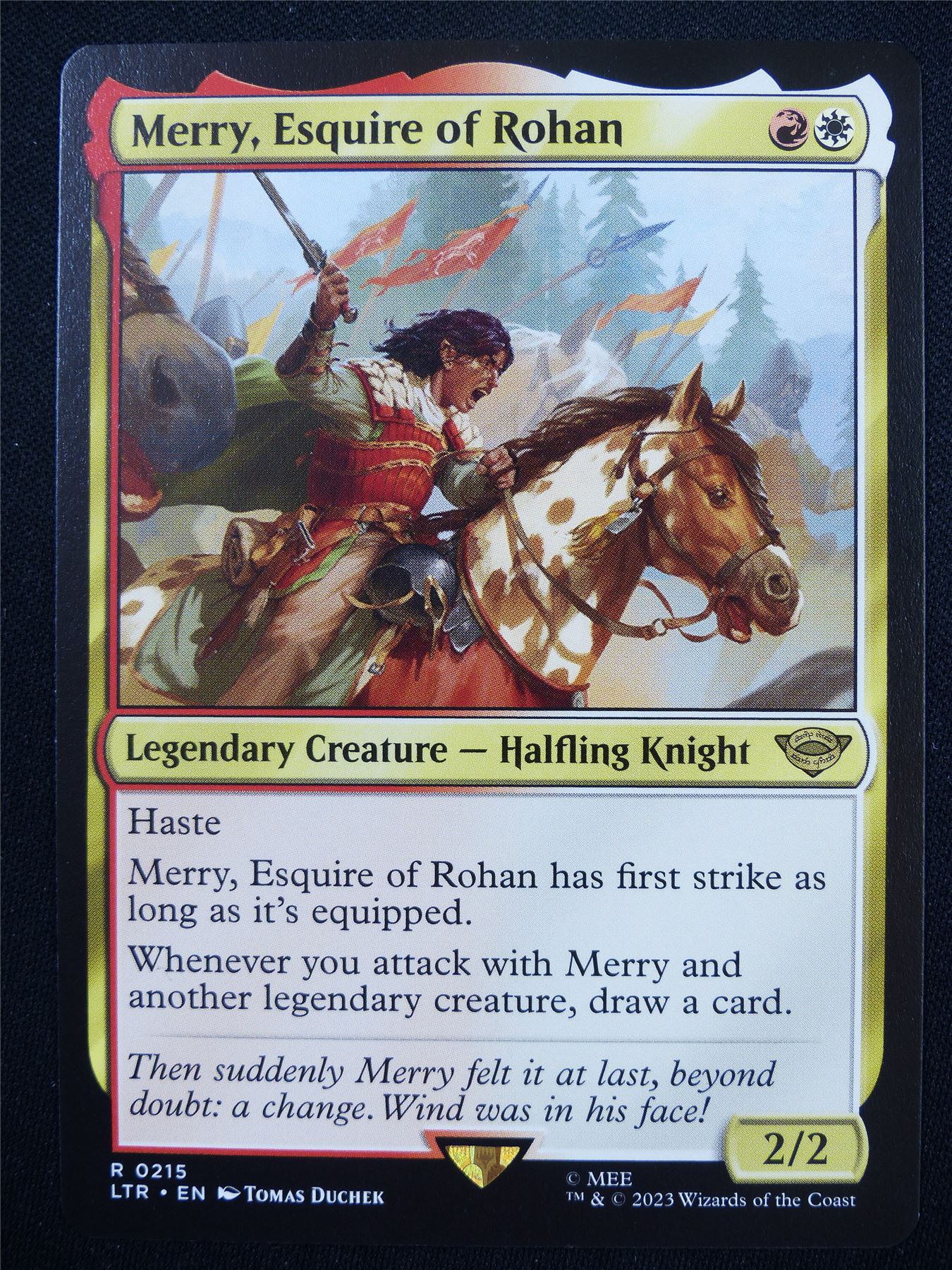 Meery Esquire of Rohan - LTR - Mtg Card #2HX