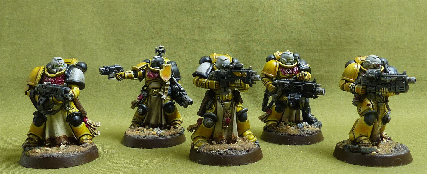 Intercessor Squad set of 5 painted - Space Marines - Warhammer 40K #1IW