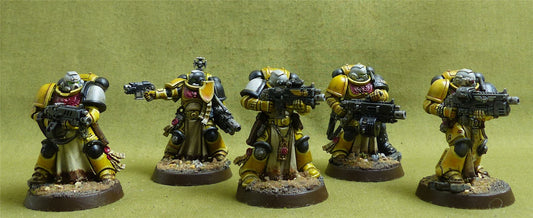 Intercessor Squad set of 5 painted - Space Marines - Warhammer 40K #1IW