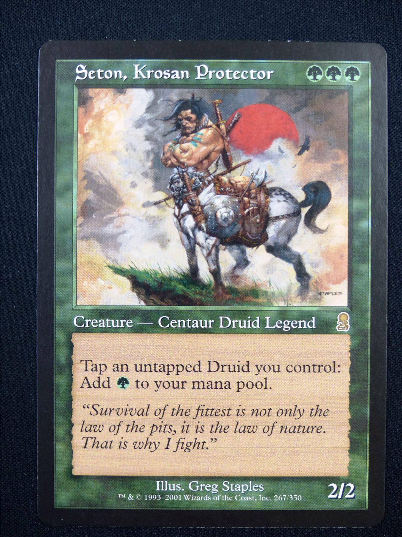 Seton Krosan Protector - Mtg Card #13K