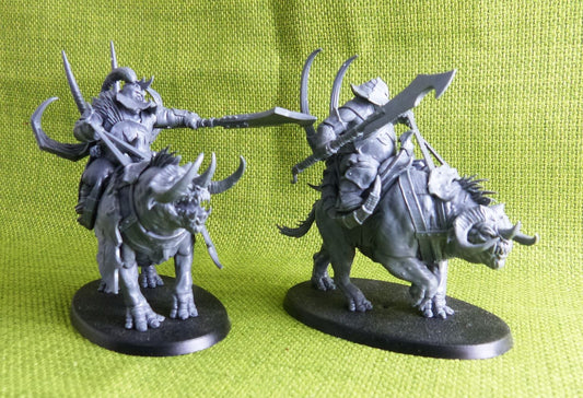 Ogor Mawtribes - Maulbeast Calvalry - Warhammer AoS 40k #4