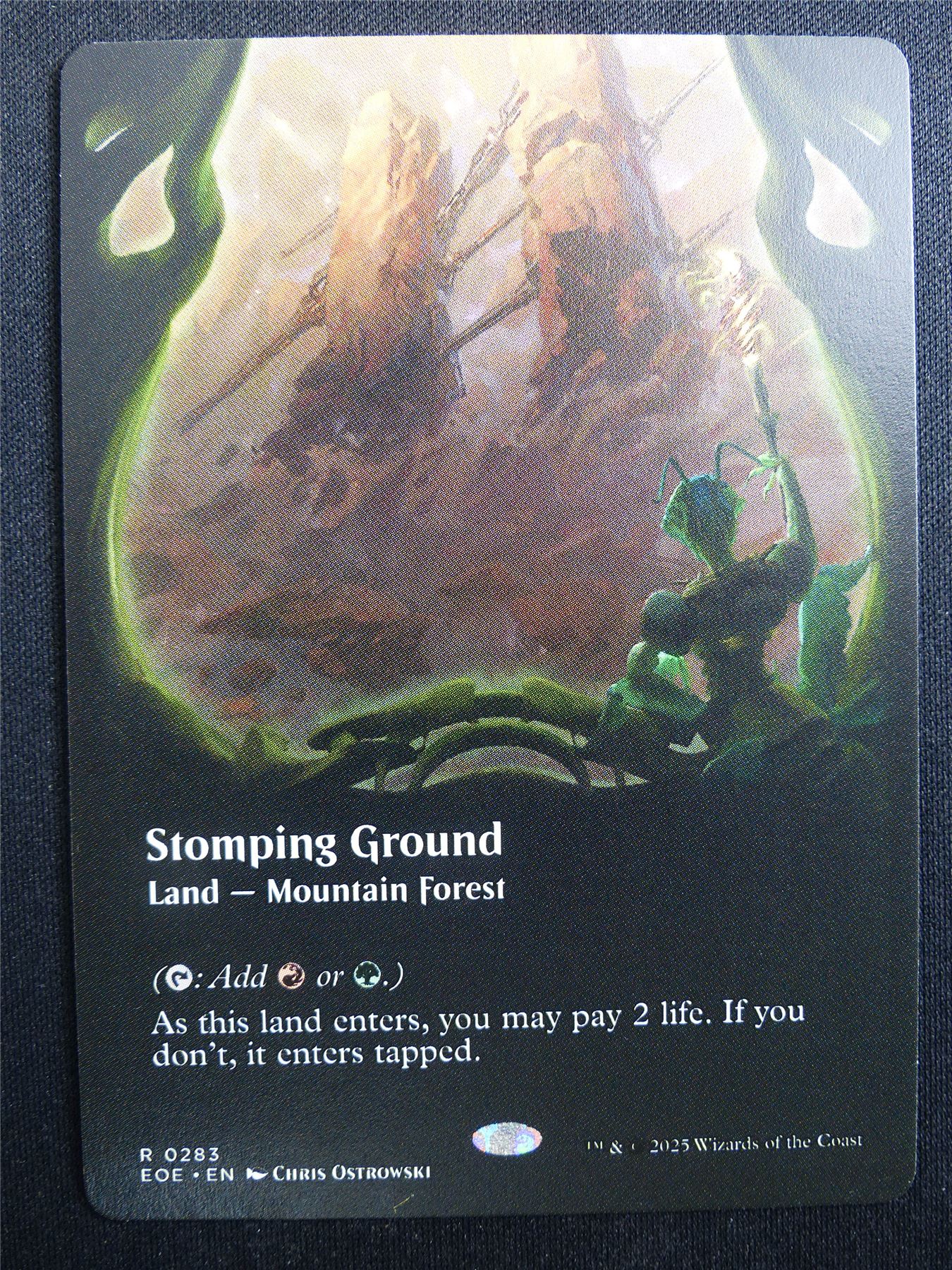 Stomping Ground Borderless - EOE - Mtg Card #3ET