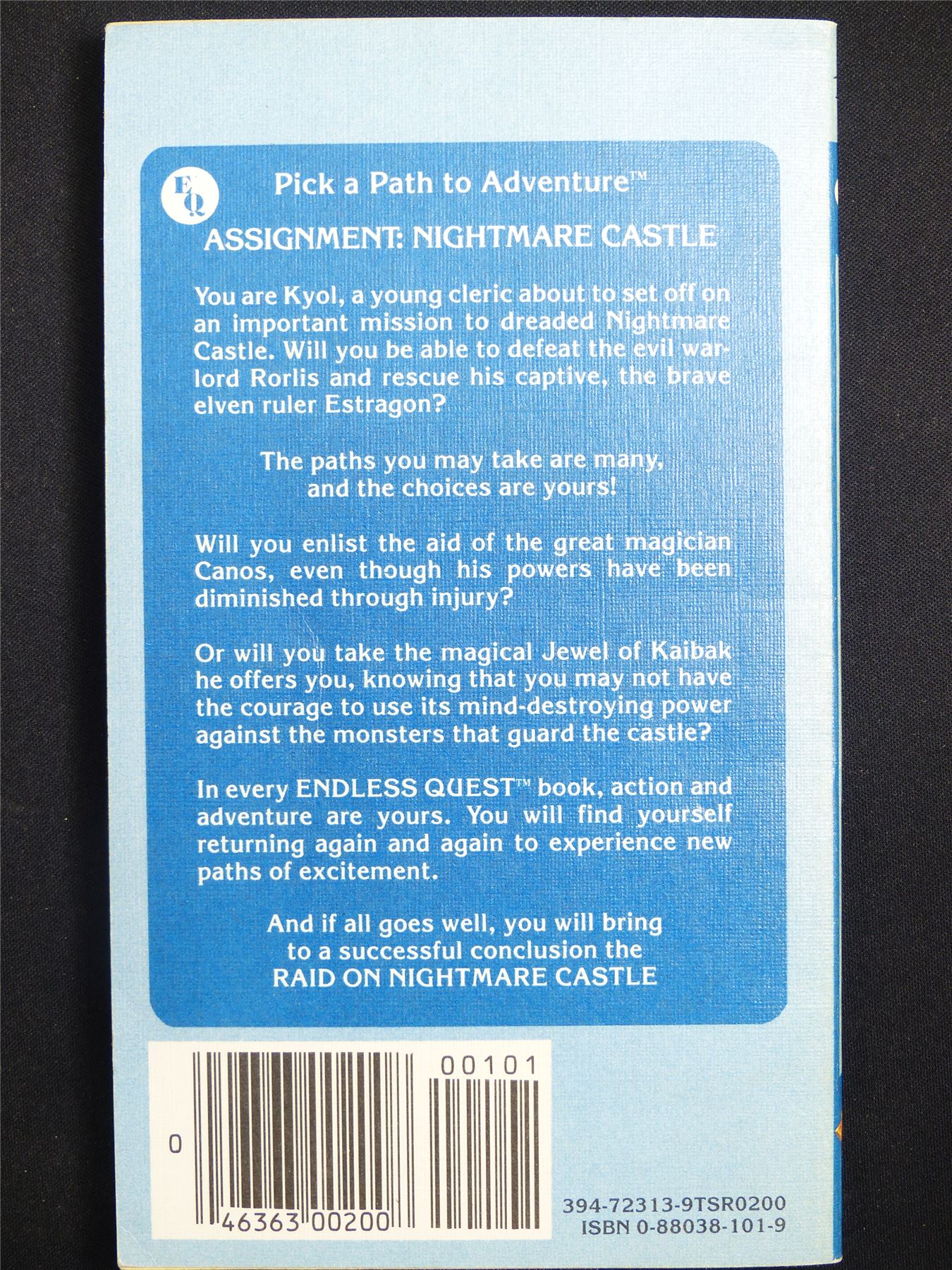 D&D Adventure Book: Raid on Nightmare Castle Endless Quest - Vintage Novel Softback #LY
