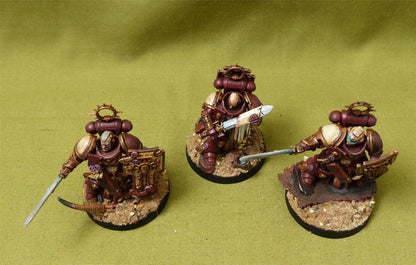 Bladeguard Veterans painted - Blood Angels - Warhammer 40K #9G