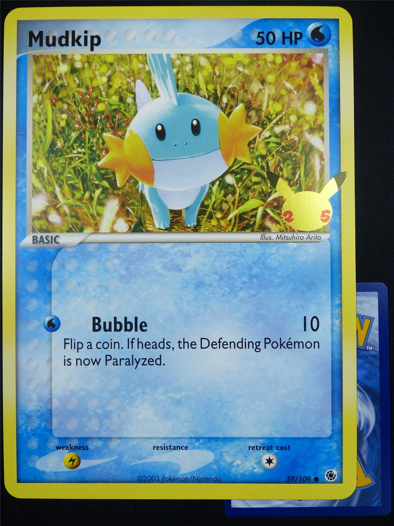 Mudkip 59/109 25th Celebration Promo - Jumbo Pokemon Card #53S