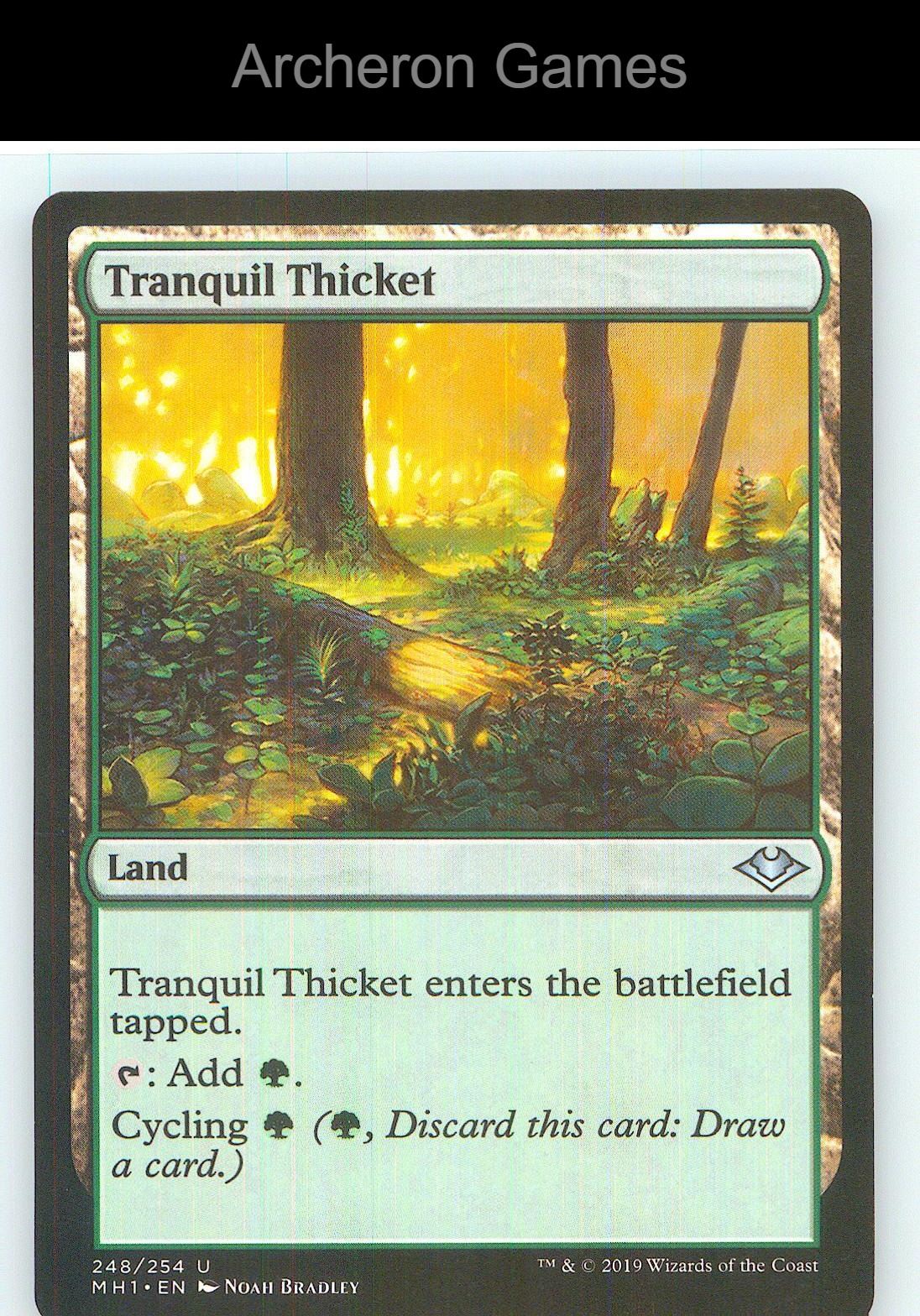 Tranquil Thicket MH1 248 UC MTG Card NM/EX+