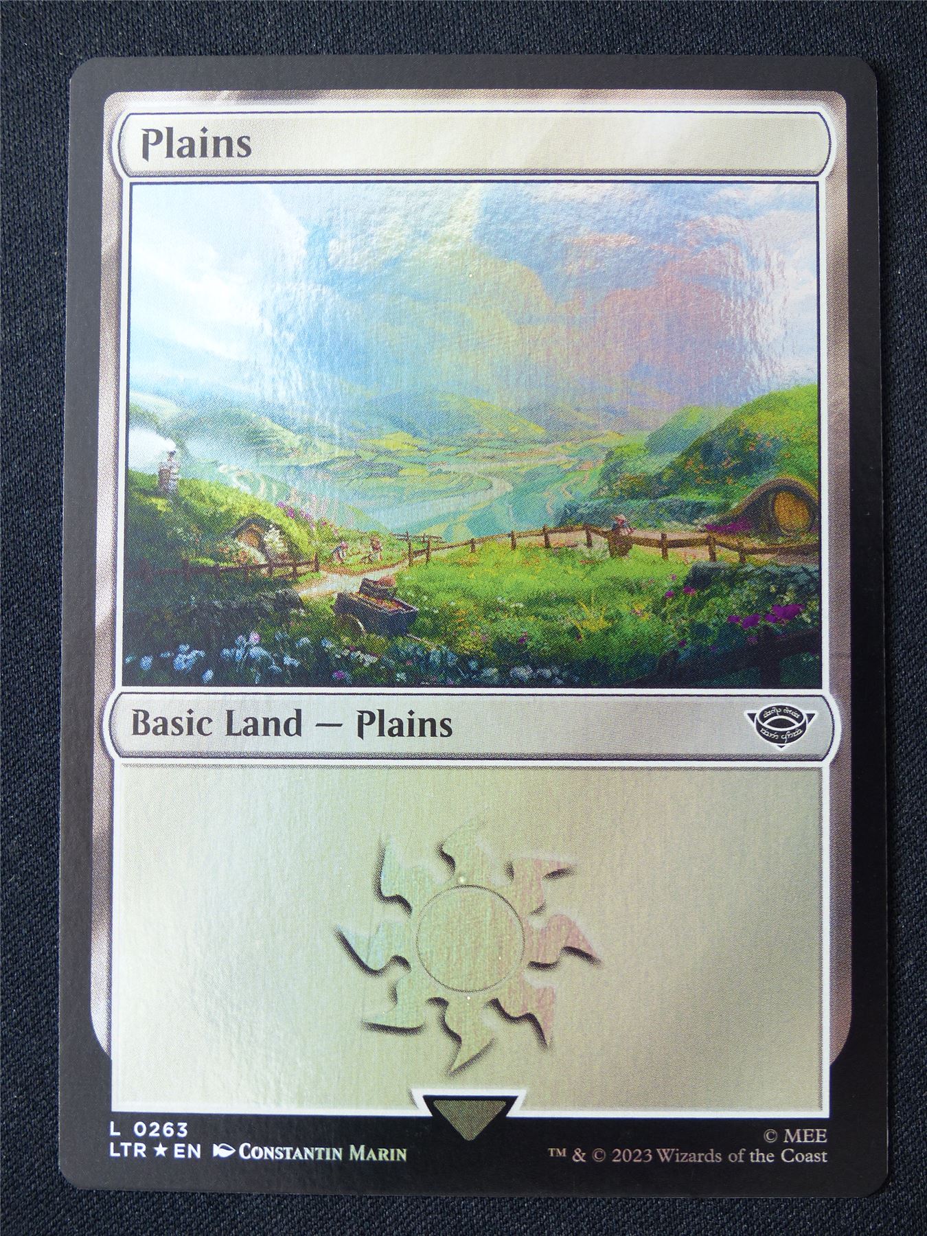 Plains 0263 Foil - LTR - Mtg Card #16N