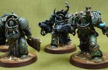 Blightlord Terminators Painted - Death Guard - Warhammer 40K #3VA