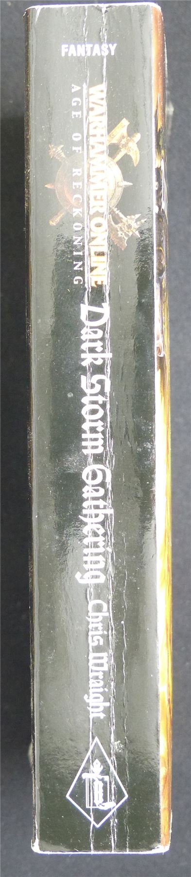 Age of Reckoning: Dark Storm Gathering - Warhammer Novel Softback #2L6