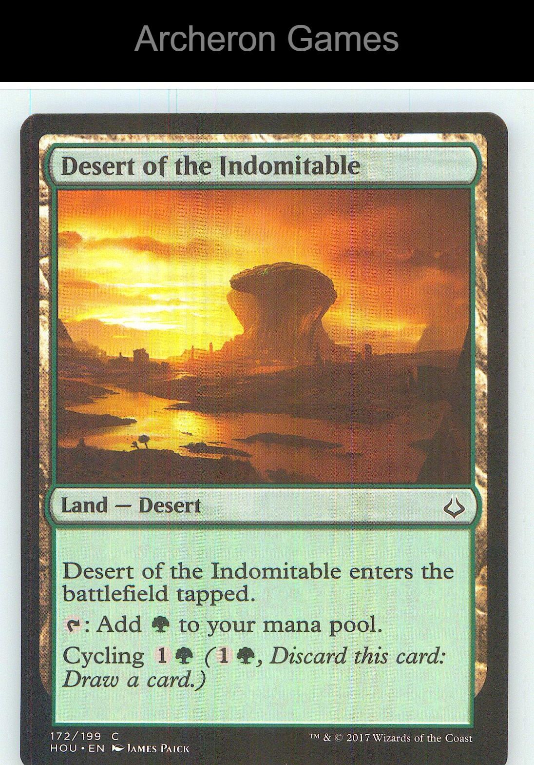 Desert of the Indomitable HOU 172 C MTG Card NM/EX+