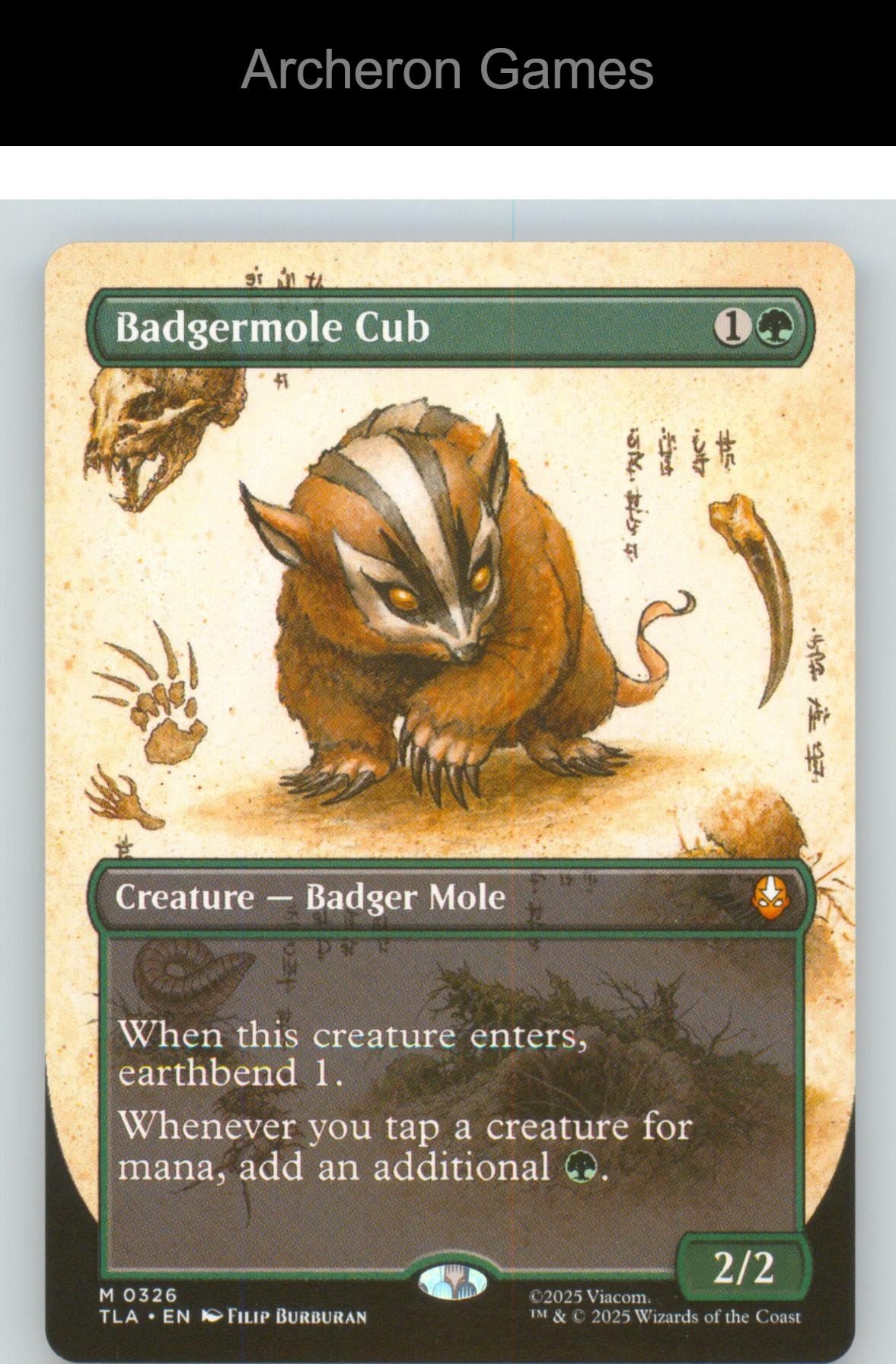 Badgermole Cub (Borderless) TLA 326 Mythic MTG Card Avatar: The Last Airbender