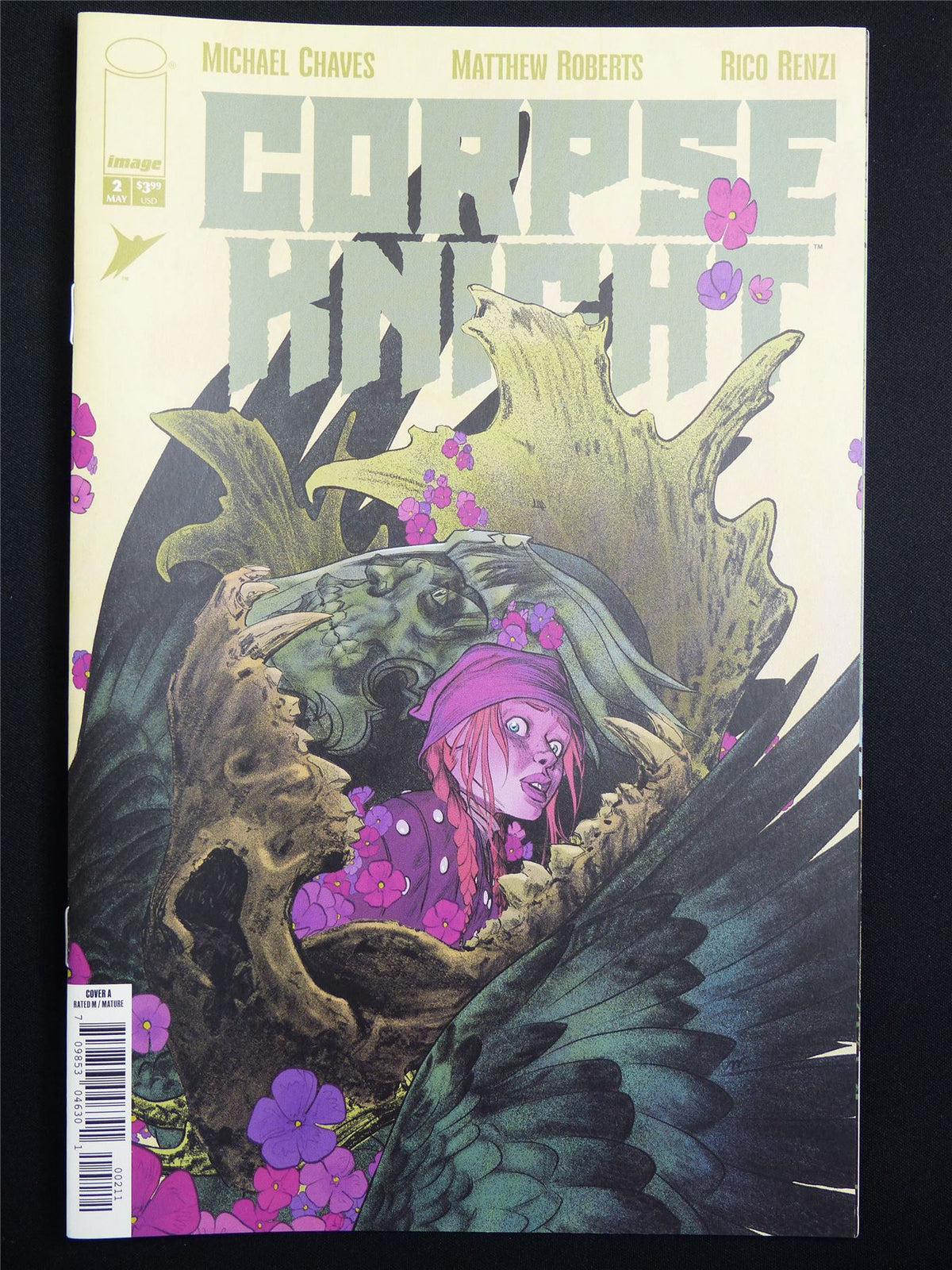 CORPSE Knight #2 Cvr A - Image Comic #4P6
