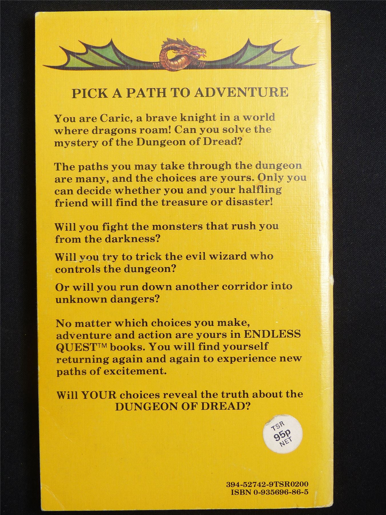 D&D Adventure Book: Dungeon of Dread Endless Quest - Vintage Novel Softback #M1