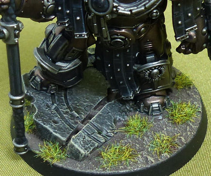 Saturnine Praetor painted - Astartes - Warhammer Horus Heresy #P1
