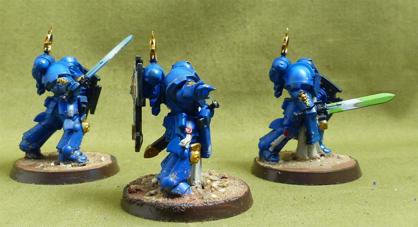 Bladeguard Veteran Squad painted - Space Marines - Warhammer 40K #6TR