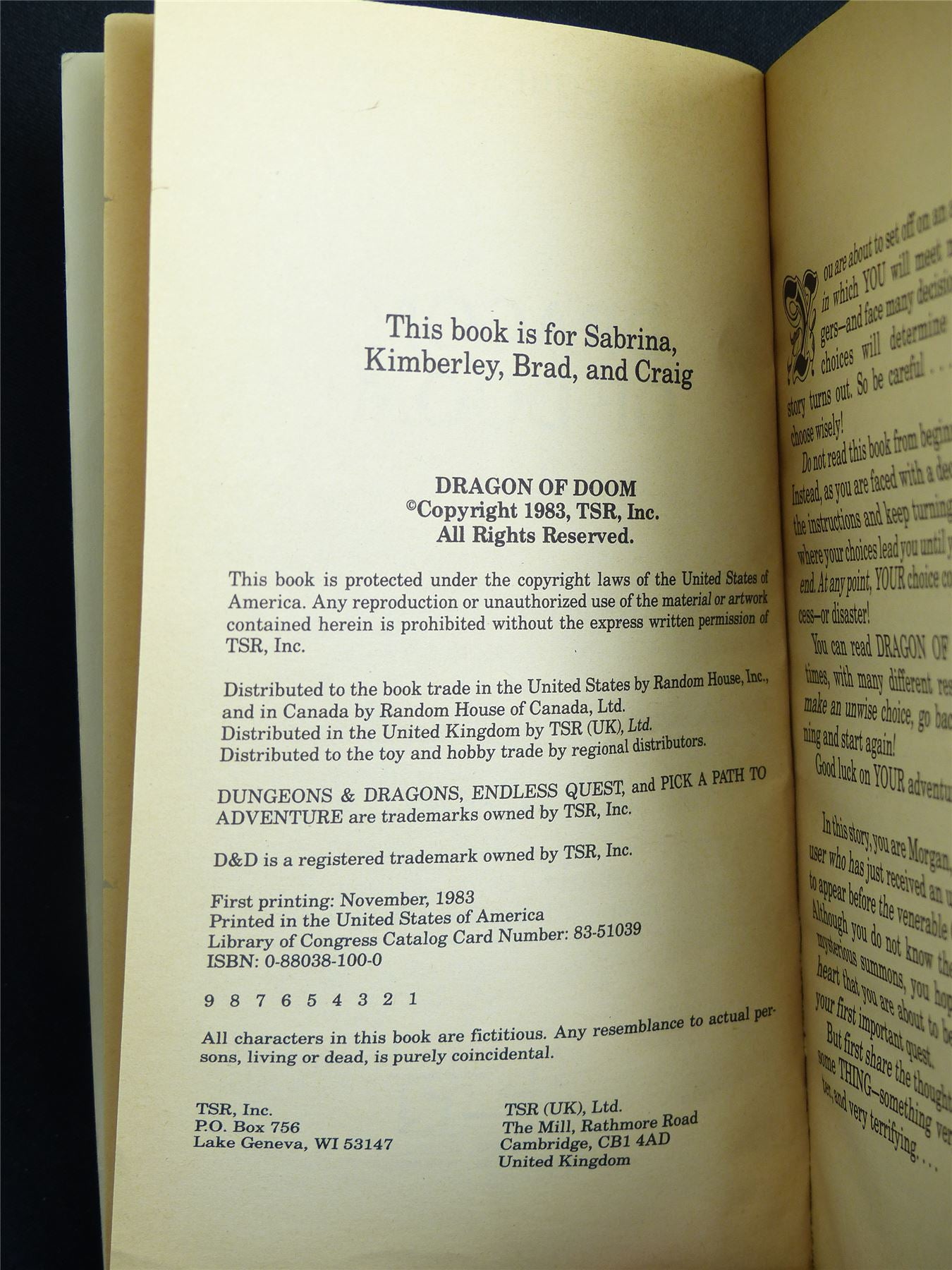 D&D Adventure Book: Dragon of Doom Endless Quest - Vintage Novel Softback #LX