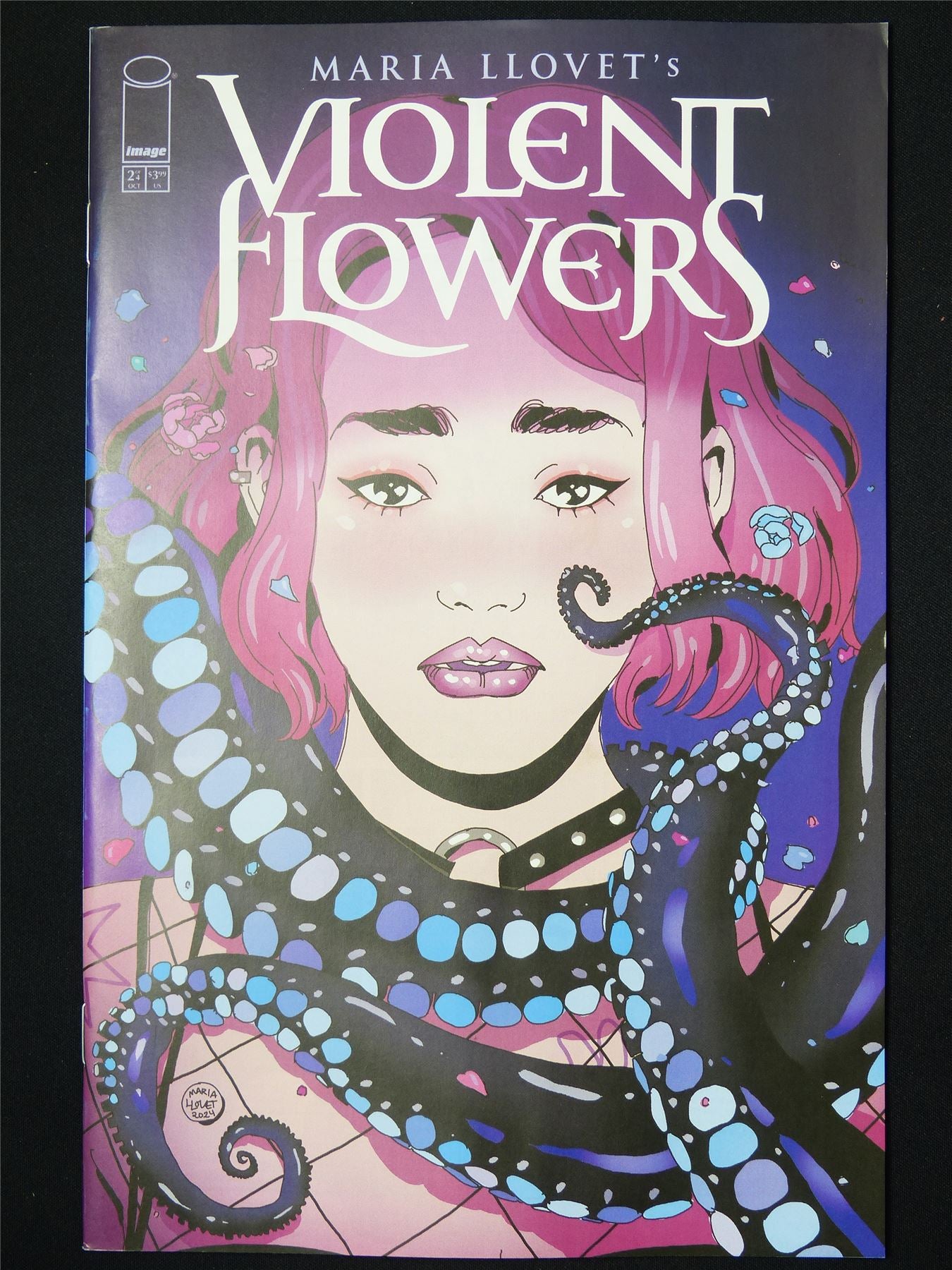 Maria llovet's VIOLENT Flowers #2 Variant - B&B Oct 2024 Image Comic #3L9