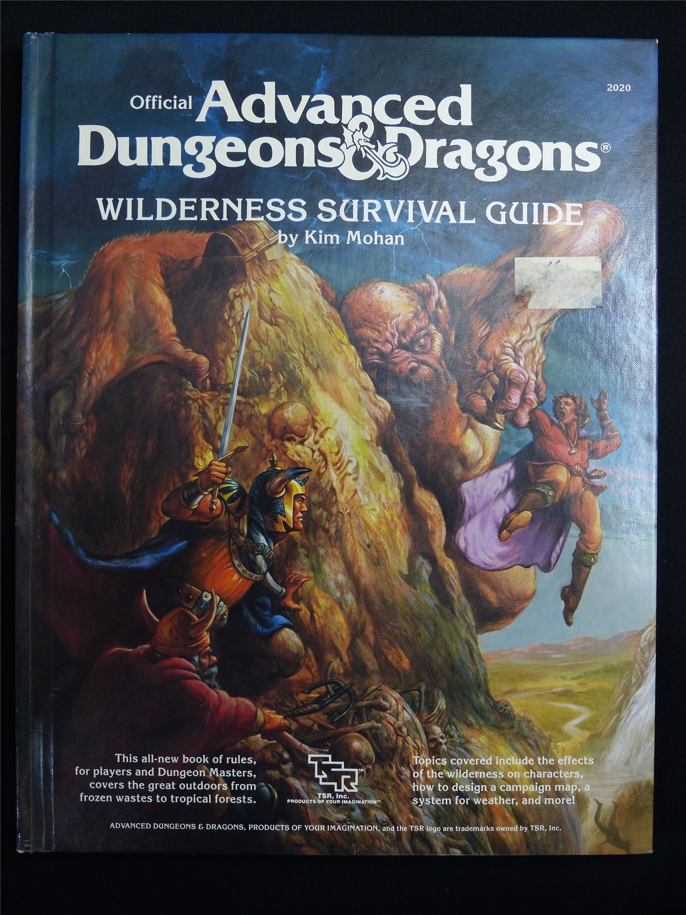 Official Advanced Dungeons & Dragons: Wilderness Survival Guide - Roleplay Hardback #1GJ