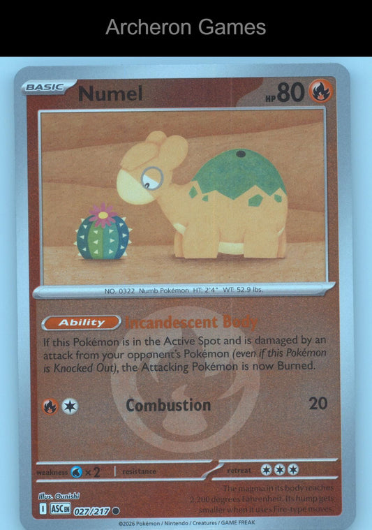 Pokemon Card Numel (Energy Symbol Pattern) ASC 027/217  Reverse Holo