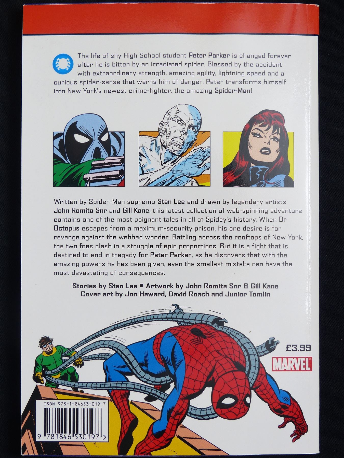 The Amazing Spider-Man: The Death of Captain Stacey - Hand-size Marvel Graphic Softback #8R