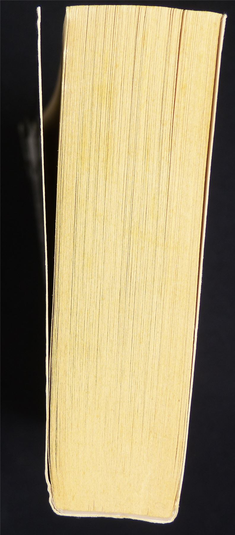 Age of Reckoning: Dark Storm Gathering - Warhammer Novel Softback #2L6